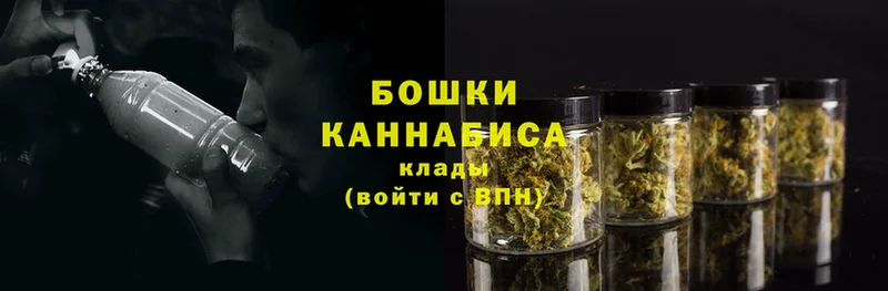 Конопля SATIVA & INDICA  закладка  Прохладный 